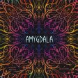 Amygdala For Cheap