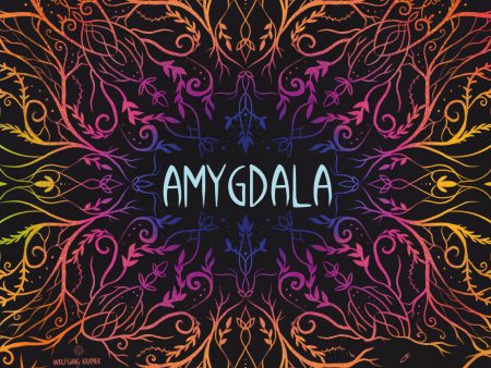 Amygdala For Cheap